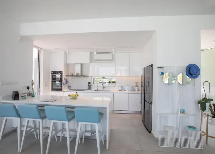 Olivine Ol3 * Πρωταράς